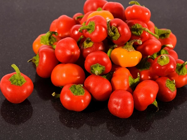 Indian Pimenta Pepper Exports Hit Record $1.1B